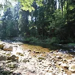 Chalet Schäfer S Vyhřívaným Bazénem Se Slanou Vodou