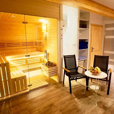 Schaefer S Vyhrivanym Bazenem Se Slanou Vodou A Saunou Harrachov