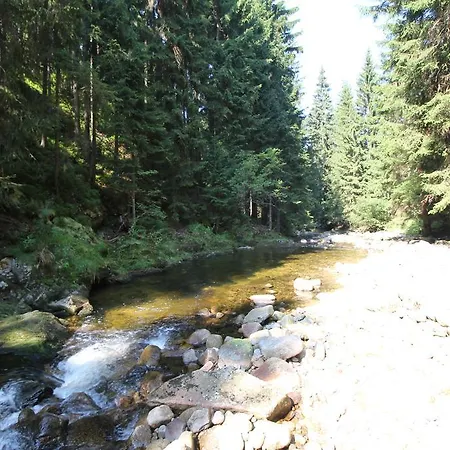 Dağ evi Schaefer S Vyhrivanym Bazenem Se Slanou Vodou A Saunou Harrachov