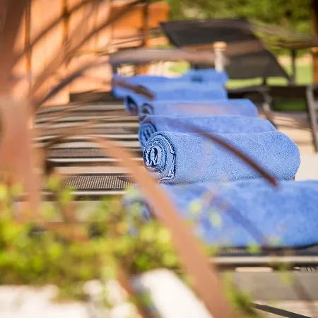 Dağ evi Schaefer S Vyhrivanym Bazenem Se Slanou Vodou A Saunou *