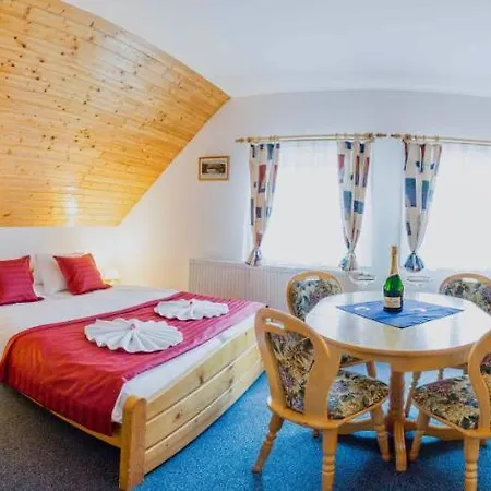 Schaefer S Vyhrivanym Bazenem Se Slanou Vodou A Saunou * Harrachov