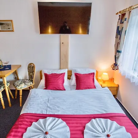 Schaefer S Vyhrivanym Bazenem Se Slanou Vodou A Saunou * Harrachov