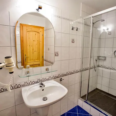 Schaefer S Vyhrivanym Bazenem Se Slanou Vodou A Saunou * Harrachov