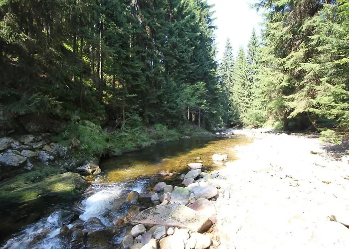 Chalet Schäfer S Vyhřívaným Bazénem Se Slanou Vodou Harrachov