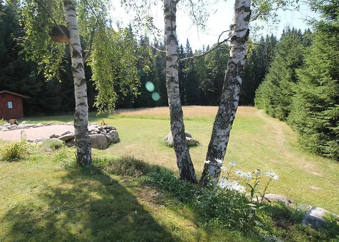 Schäfer S Vyhřívaným Bazénem Se Slanou Vodou Harrachov